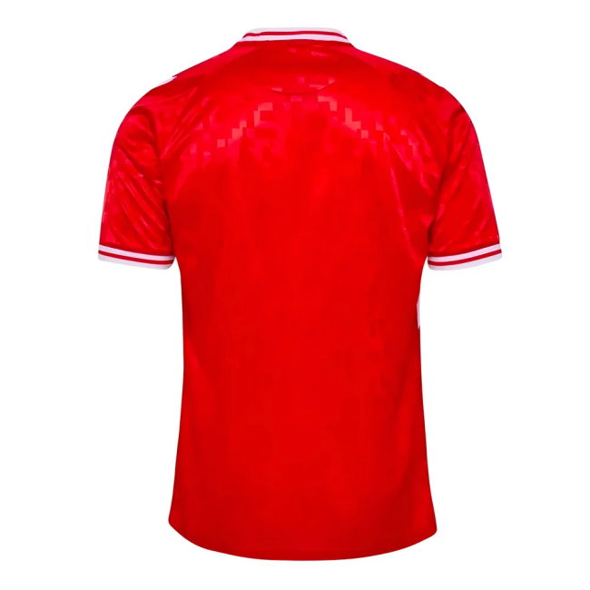2024-2025 Denmark Home Shirt (M.Laudrup 10)-SoccerKits Hub | Buy Soccer Jerseys Online